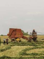 The Undefeated Son-i