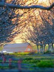 Super Dimensional Me