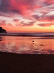 lt;lt;lt;Reborn Soar