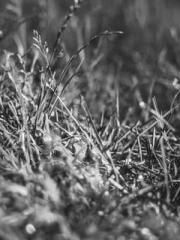 My projections are a