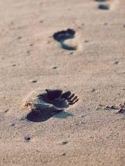 lt;lt;lt;lt;Yearning