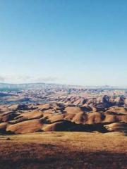 Bodhisattva of Compa