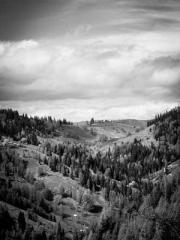 Fu Zi Mo Qin Luo Yan