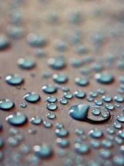 A Heavenly Gift: The