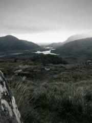 Rong Zhao, male, Nin