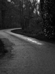 A Spicy Wife from th