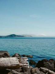 lt;宇宙職業選手gt;Space Pr