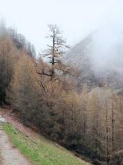 A Heavenly Gift: The