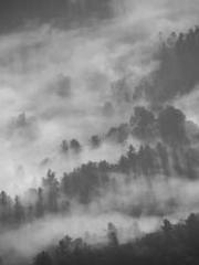 The Apothecaryapos;s