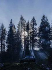 The Best Little Body