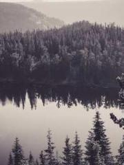 My seven stunning an