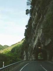 I have seven fairy g