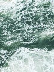 The Sovereign of the