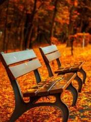 Rebirth as a Court A