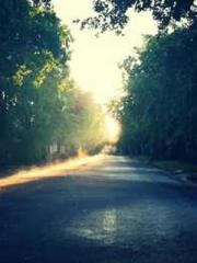 A Second Marriage Mo