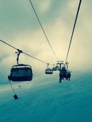 The Realm of the Dao