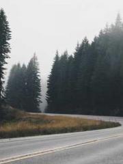 The Rebirth of a Phy