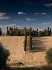 I Picked Up a Cultiv