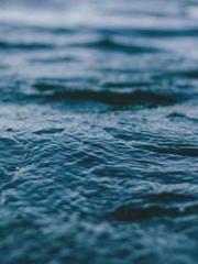 lt;lt;lt;lt;Good-loo