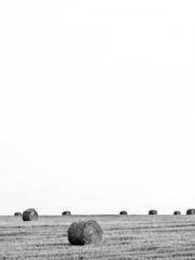 The Rebirth of a Phy