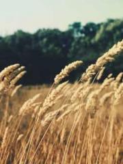 The Best Little Body