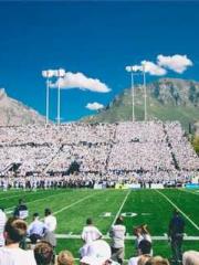 The Wife of My Heart