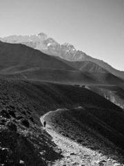 The Favorite Concubi