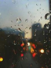 The  Princess  Rebor