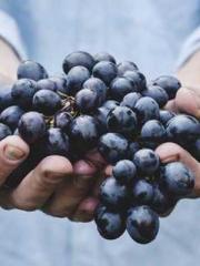 Professor Yan is goi