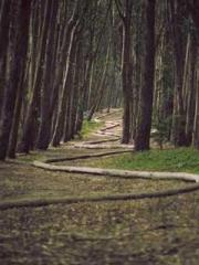 A Second Marriage Mo