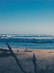 lt;lt;Know Green, Do