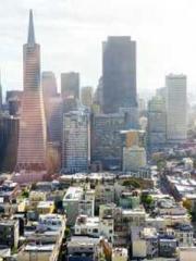 The Poisonous Doctor