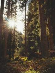 Qi is thin, but I be