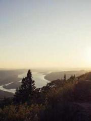 Rebirth as a Court A