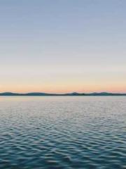 The Return of the Go