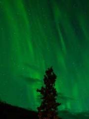 The Hardships of a D