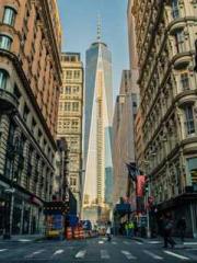 The Legend of the Dr