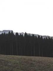 The Uncle Emperor Do