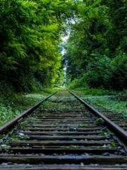 Fāng Chénlín Xuěyán