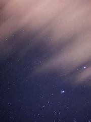 Spring fills Beijing