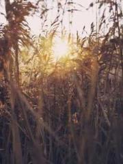 lt;Mr. Bao, Mrs. Bao