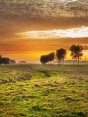 lt;Dragon King Legen