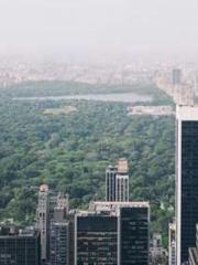 My pets are all amaz