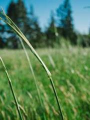 Unbound by any rules